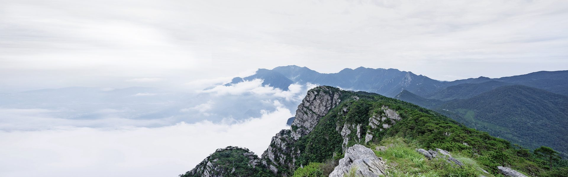 以光为墨，绘就庐山别墅群智慧网络新画卷
