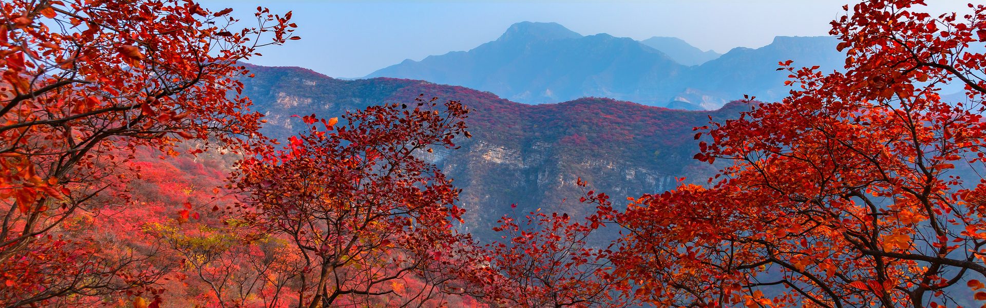 坡峰岭红叶步道金秋智能升级