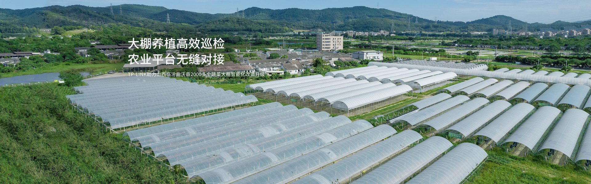 TP-LINK助力山西临汾曲沃县2000多个蔬菜大棚智能化改造升级